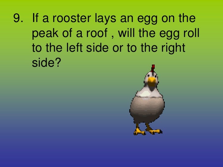 A Rooster Roof On Lays An Egg A Rooster Roof On Lays An Egg